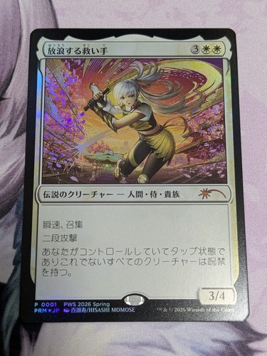 The wandering rescuer - 1x,