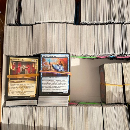 Mtg lotto 100 - lotto, the